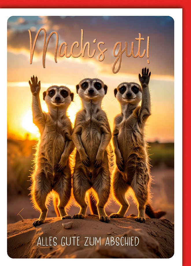 Abschiedskarte Elegant: Drei Erdmännchen winken im goldenen Sonnenuntergang