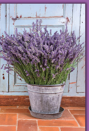 Blankokarte Elegant: Lavendel-Bouquet in antikem Zinkeimer, rustikaler Shabby-Chic