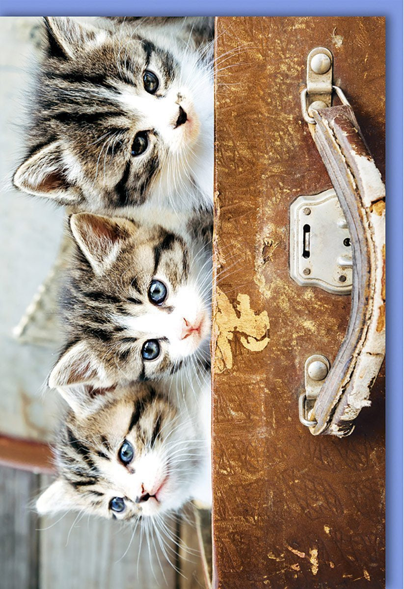 Blanko Grußkarte: Niedliche Kätzchen im Vintage Koffer Design mit Kuvert – Perfekt für Tierfreunde & persönliche Botschaften