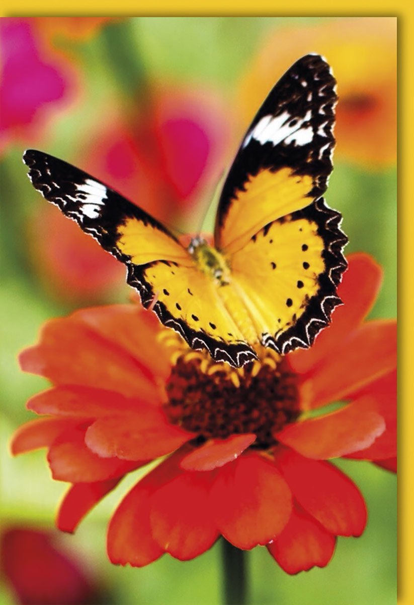 Blankokarte – Farbenfrohes Schmetterling & Blumen Design, ideal für persönliche Botschaften & alle Anlässe, inkl. Kuvert