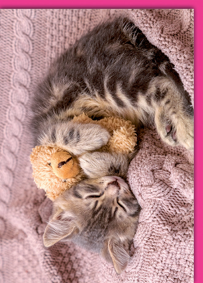 Blankokarte Tiermotiv: Schlafende Kätzchen mit Teddybär in Rosa-Tönen, ohne Text
