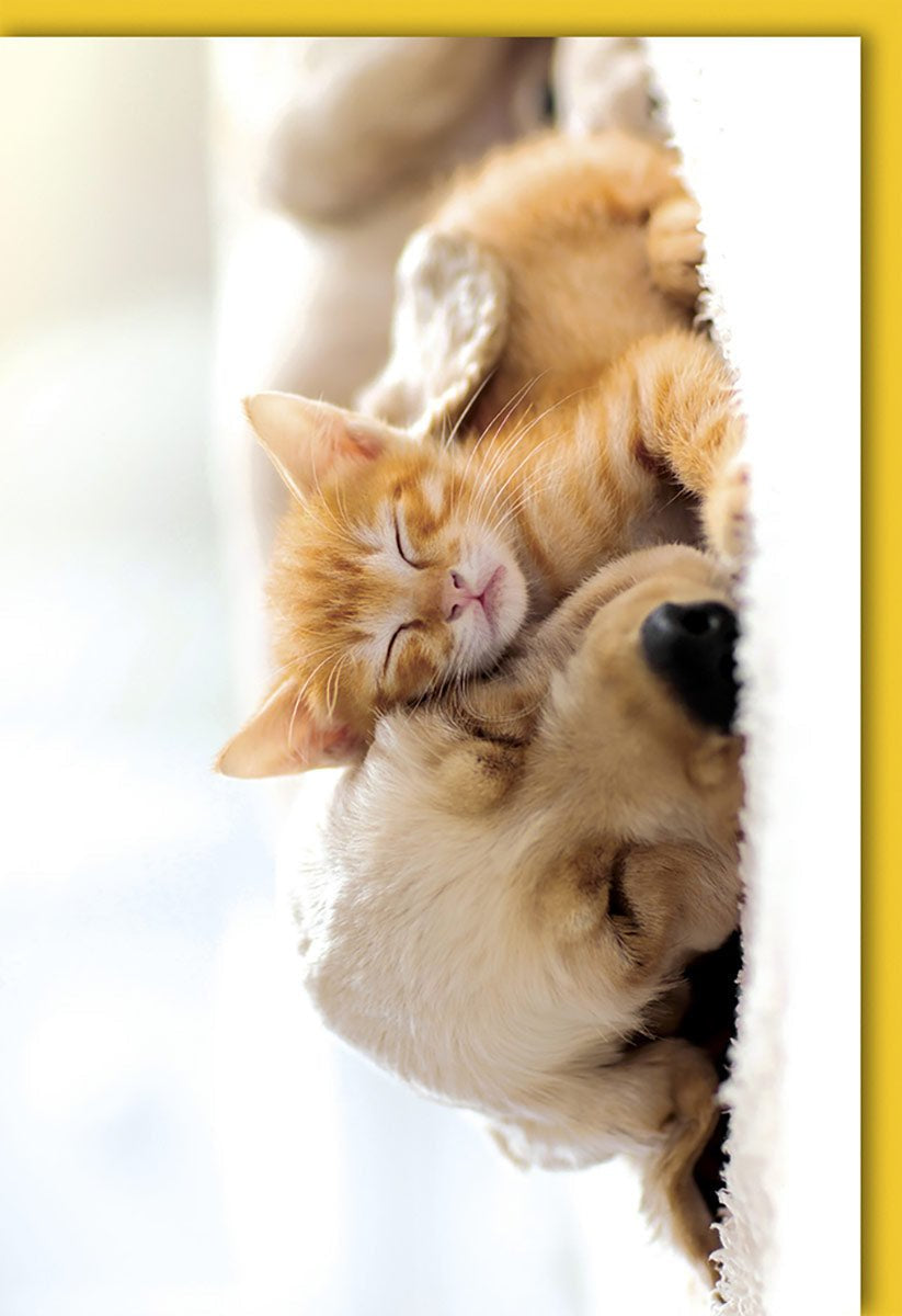 Blankokarte: Süßes Kätzchen & Welpe schlafend, gelber Rand – Vielseitige Grußkarte für Tierfreunde mit Kuvert