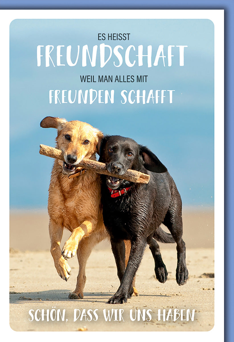 Freundschaftskarte Serie-Waumiau: Fröhliche Hunde am Strand, perfekte Karte für Hundefreunde