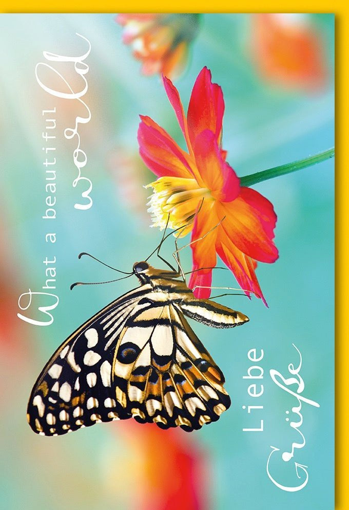 Geburtstagskarte mit Schmetterlings- & Blumenmotiven – Naturfotografie Design für herzliche Grüße & Wünsche, inkl. Kuvert
