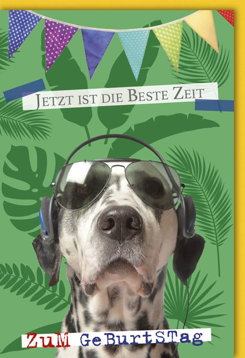 Geburtstagskarte lustig – Humorvolle Hundeparty mit Dalmatiner & Brille für besondere Glückwünsche, inkl. farblich passendem Kuvert