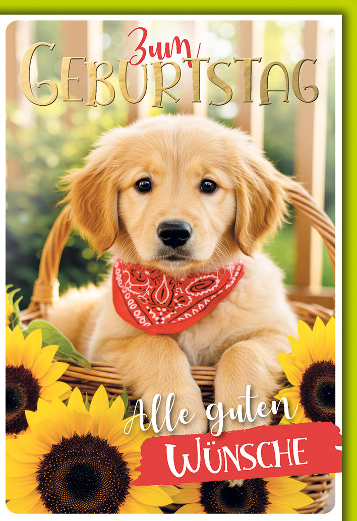 Geburtstagskarte mit Golden Retriever Welpe: Rotes Halstuch, Sonnenblumen-Deko