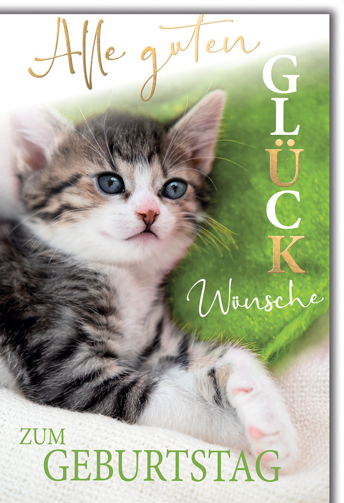 Geburtstagskarte Kätzchen: Süßes Tabby-Kitten mit blauen Augen, elegante Typografie