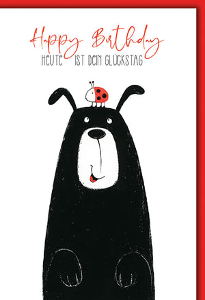 Geburtstagskarte: Lustiger Bär mit Marienkäfer, minimalistisches Design in Schwarz-Weiß-Rot für Tierliebhaber