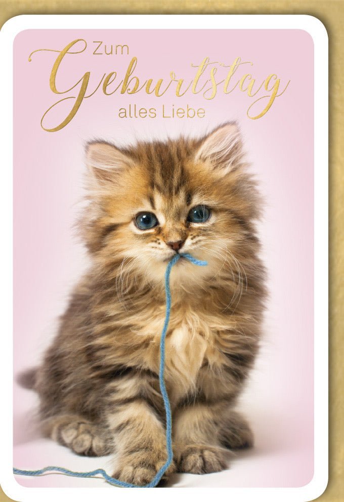 Geburtstagskarte "Alles Liebe" mit niedlichem Katzen-Design. Stilvolle Glückwünsche für Tierliebhaber, inkl. Kuvert.