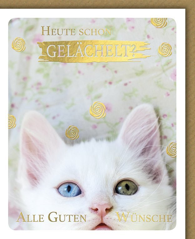 Geburtstagskarte mit Katze & Tiermotiv – Humorvolle Glückwünsche mit edler Folienprägung und farblich passendem Kuvert