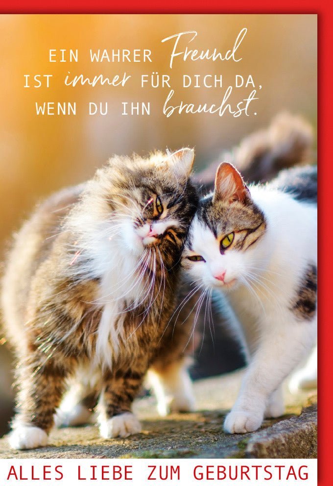 Geburtstagskarte Freunde: Herzliche Katze & Wärme. Für Zusammenhalt & Freude. Mit Kuvert.