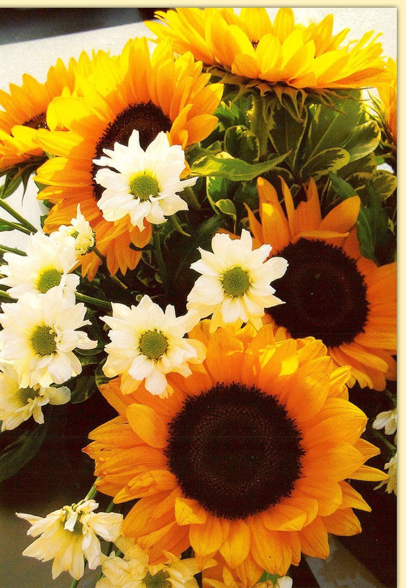 Blanko Grußkarte mit Umschlag: Persönliche Botschaften, luxuriöses Material – für Geburtstage & Jubiläen