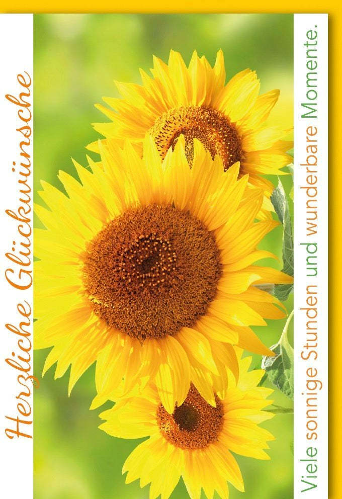 Geburtstagskarte Sonnenblumen Motiv – Warme Umarmung mit Herz & Freude für besondere Glückwünsche. Inkl. passendem Kuvert.