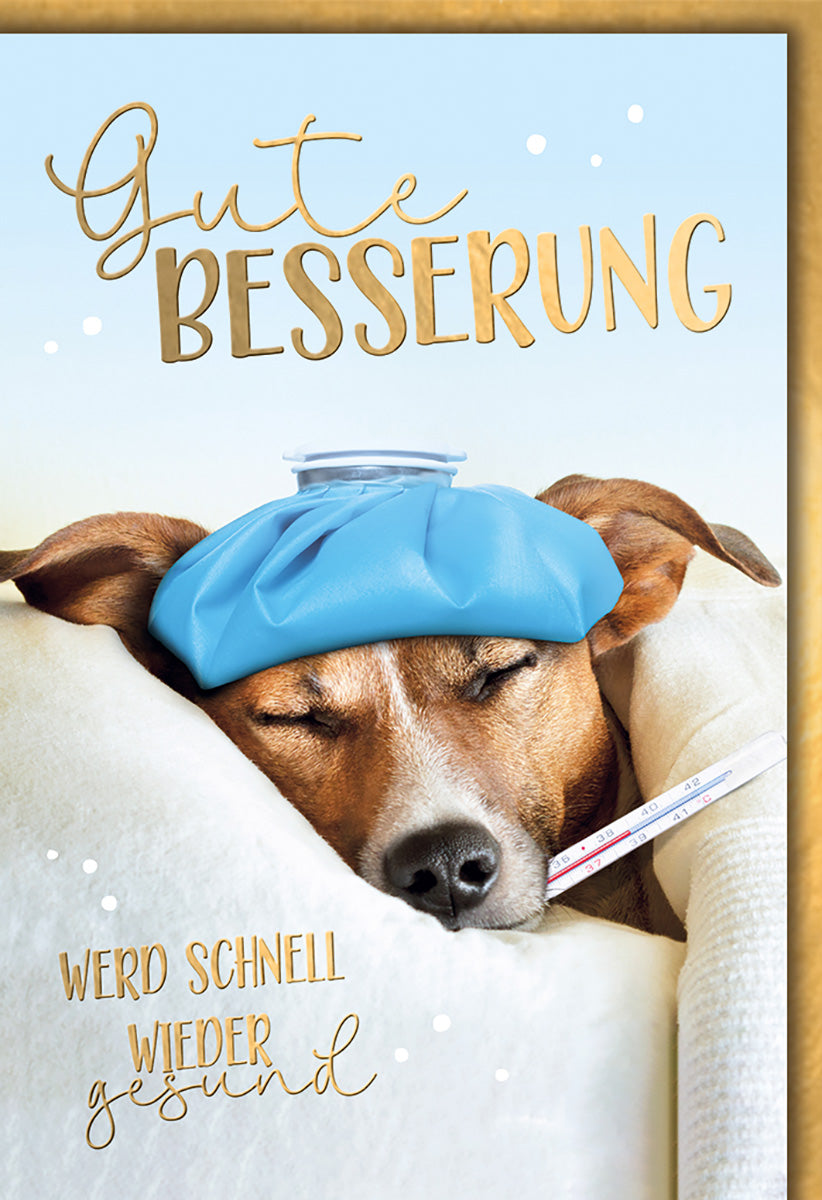 Genesungskarte für Hundefreunde: Humorvolles Design mit Hund, Eisbeutel und Thermometer in warmen Farben