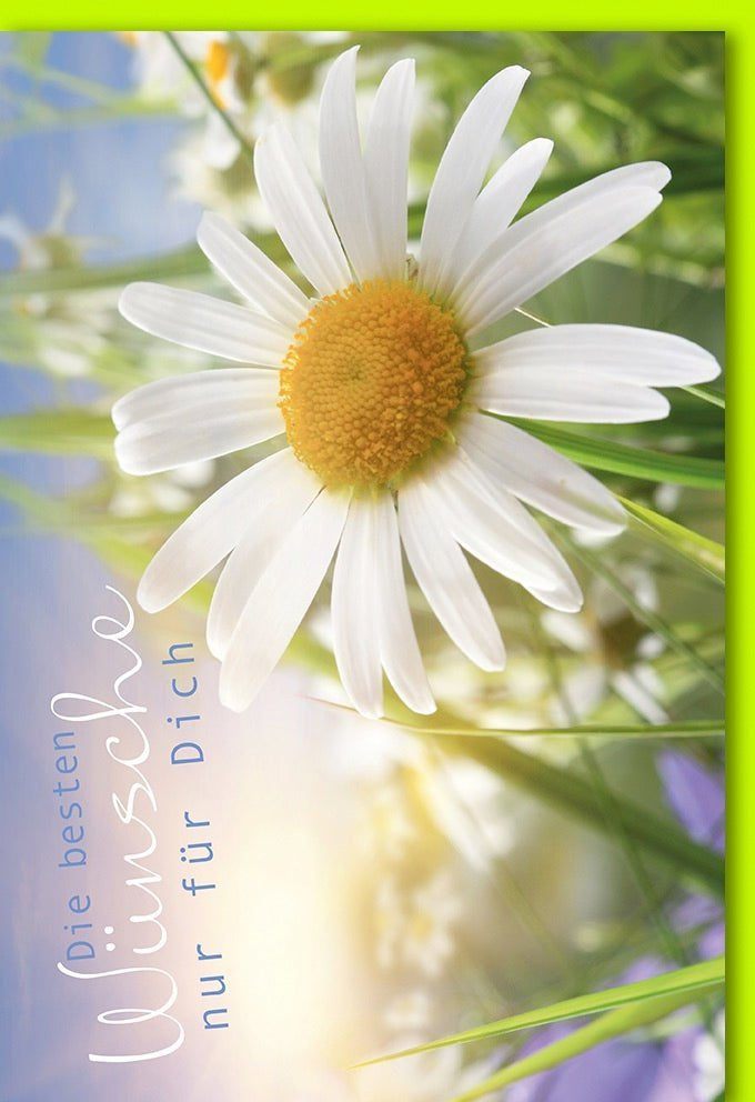 Grußkarte "Die besten Wünsche nur für Dich" – Liebevolle Botschaft mit Kuvert. Eleganter Gruß für Geburtstag, Jubiläum & Freundschaft