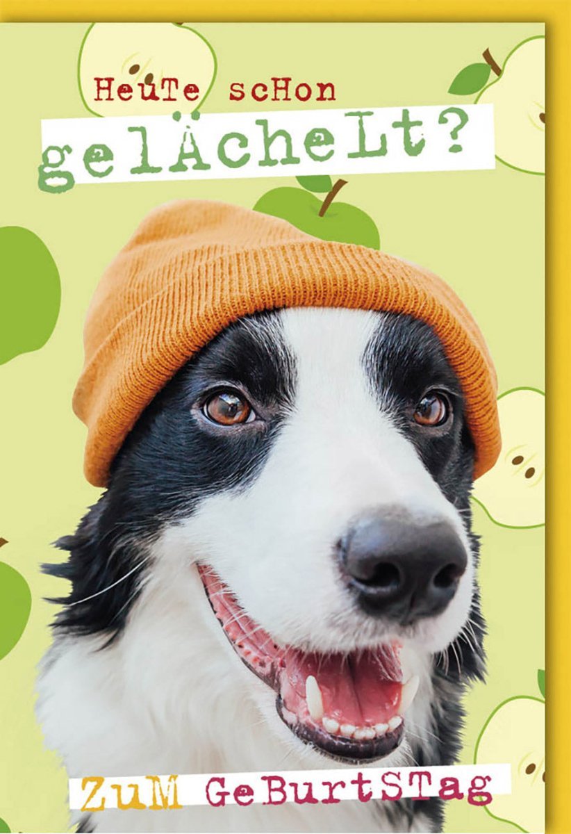 Geburtstagskarte Lustig – Charmante Humor-Grußkarte für fröhliche Glückwünsche & herzliche Botschaften mit Kuvert
