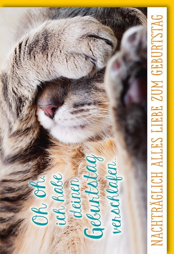 Lustige Geburtstagskarte – „Oh oh ich habe deinen Geburtstag verschlafen“ mit verschlafener Katze, verspätete Grüße inkl. Kuvert