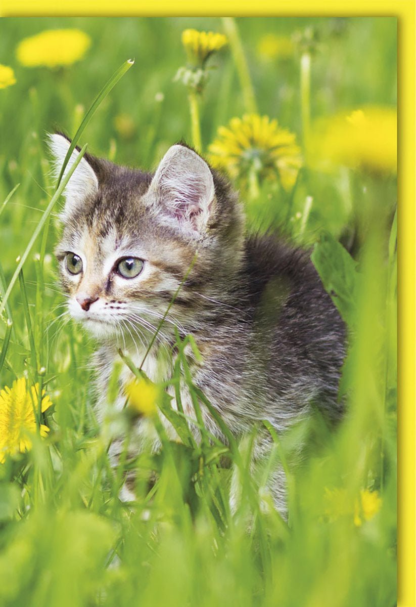 Blanko Grußkarte mit Kuvert: Persönliche Botschaften für jeden Anlass – Deine individuelle Leinwand für unvergessliche Glücksmomente