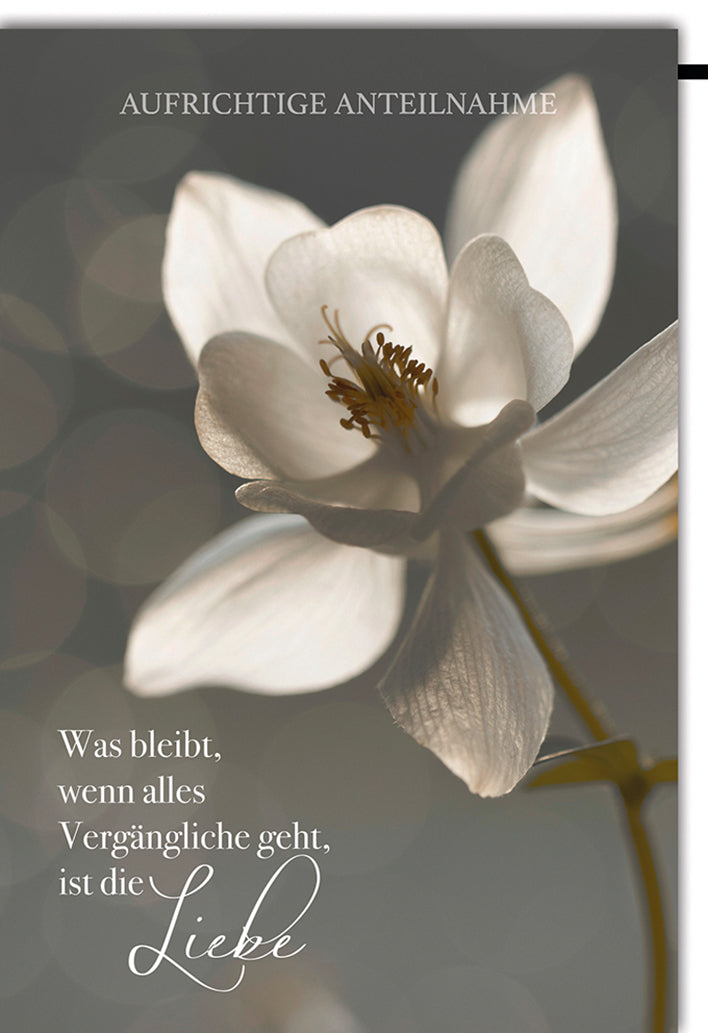 Trauerkarte Anteilnahme: Elegante weiße Blüte mit emotionalem Spruch über die Liebe