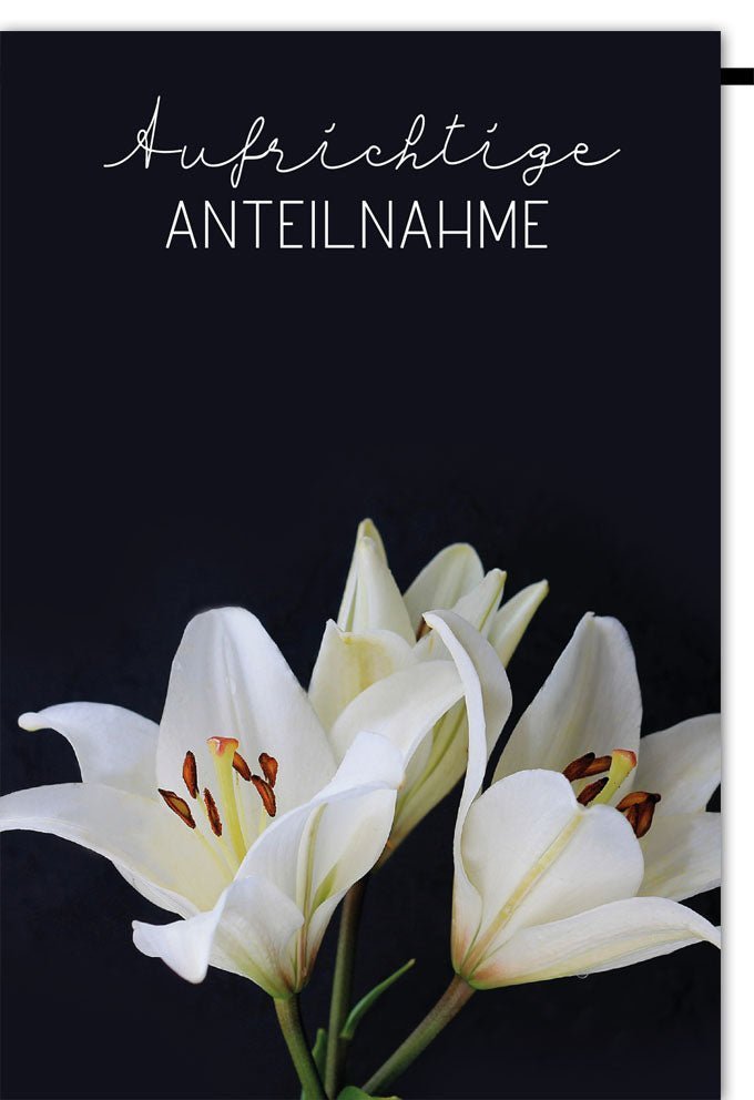 Trauerkarte „Aufrichtige ANTEILNAHME“ – Eleganter Trost mit Lilien auf schwarzem Hintergrund für Ihre Beileidsbekundung