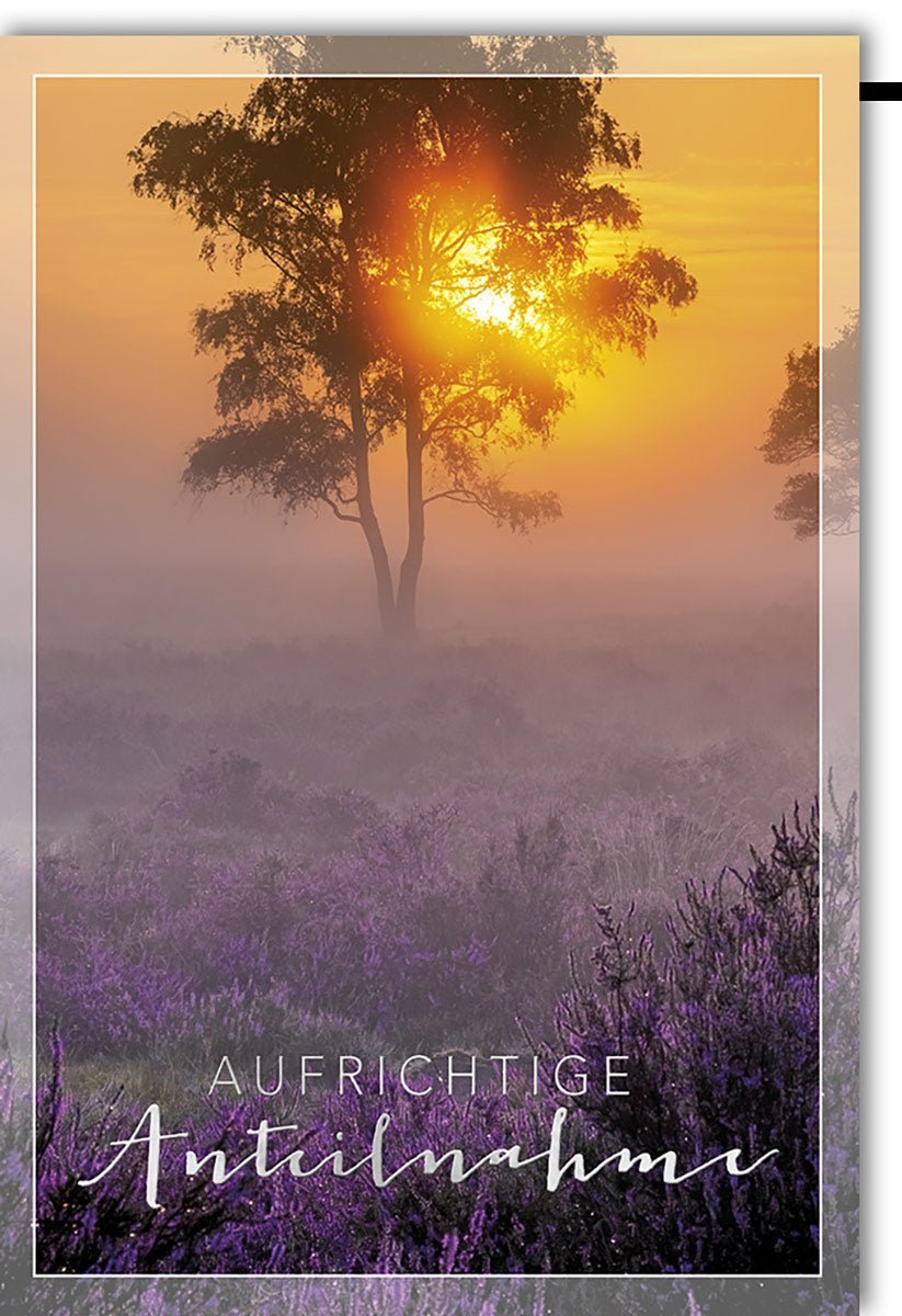 Trauerkarte: Sonnenuntergang & Baum mit lila Blumen – Aufrichtige Anteilnahme, würdevolle Folienprägung mit Kuvert