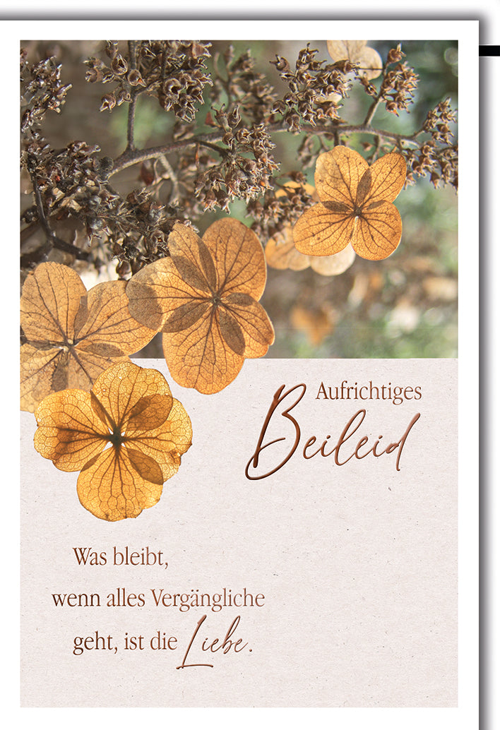 Trauerkarte Aufrichtiges Beileid: Hortensienblüten in warmen Herbsttönen mit Spruch