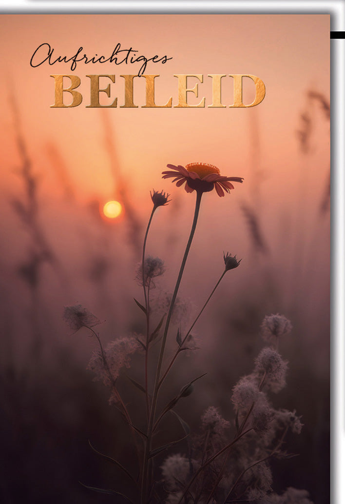 Trauerkarte Aufrichtiges Beileid: Wildblumen im Sonnenuntergang, elegante Typografie