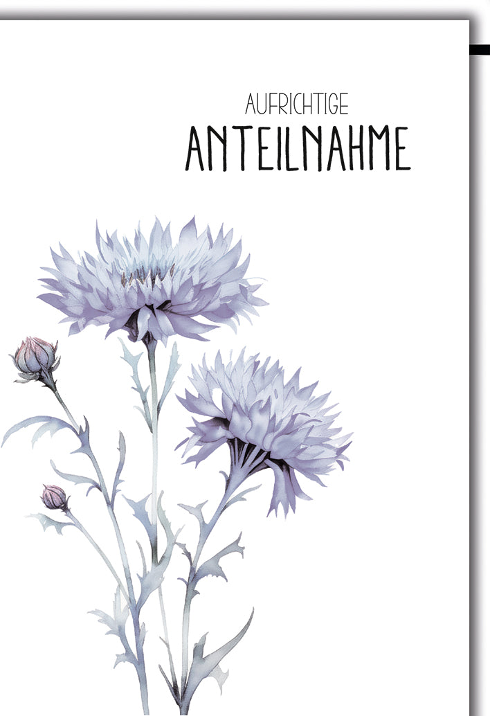 Trauerkarte Elegant: Kornblumen in Aquarell-Optik mit "Aufrichtige Anteilnahme"