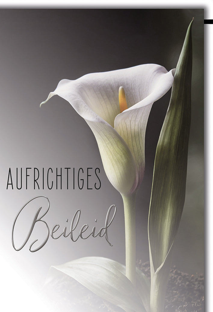 Trauerkarte Elegant: Weiße Calla-Blüte mit zartem Stempel, edle Typografie