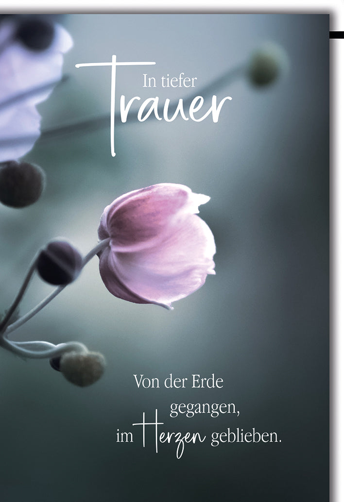 Trauerkarte Elegant: Zarte lila Mohnblume in sanftem Licht mit einfühlsamem Spruch
