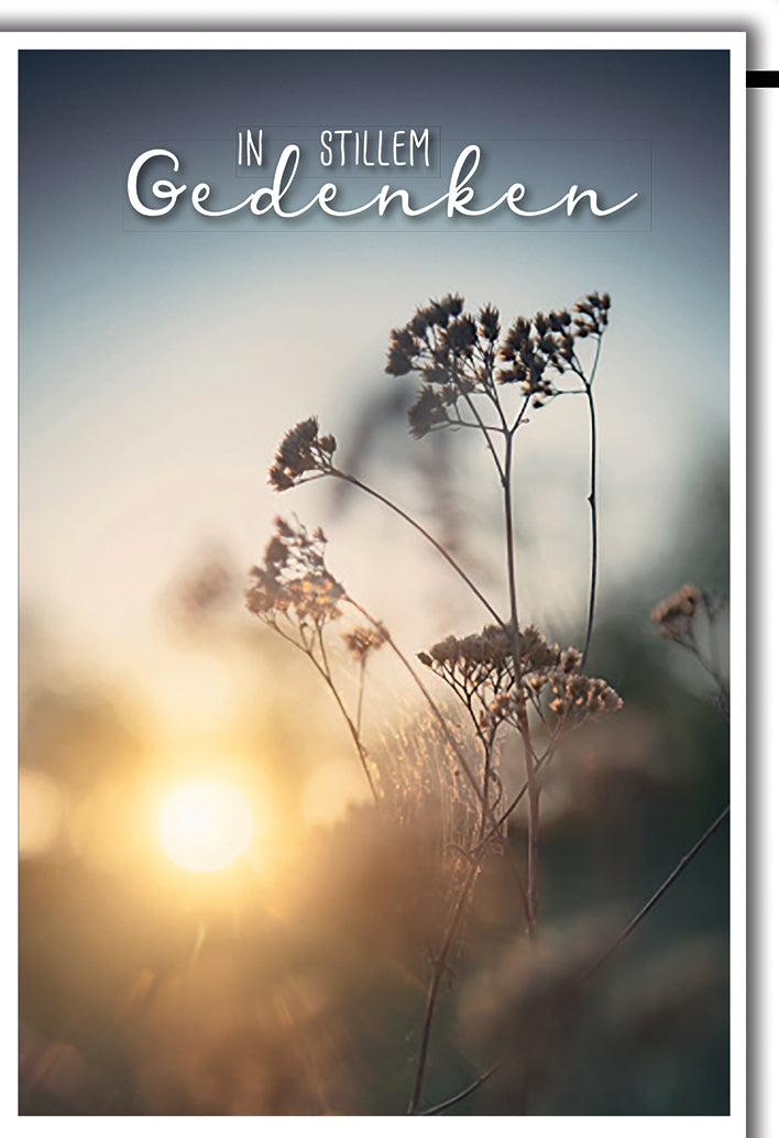 Trauerkarte In stillem Gedenken: Gräser im warmen Sonnenlicht, elegante Typografie