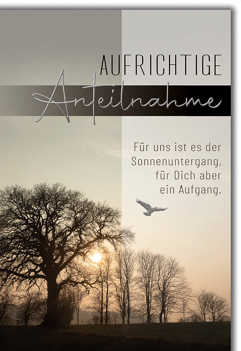 Trauerkarte mit Sonnenuntergang und Vogelmotiv – Stilvoller Beileidstext für einfühlsame Anteilnahme