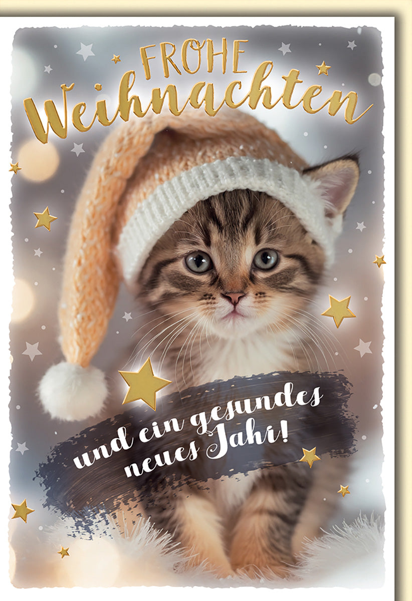 Weihnachtskarte mit niedlichem Kätzchen, goldenen Sternen und Mütze – Frohe Weihnachten und Neujahrswünsche